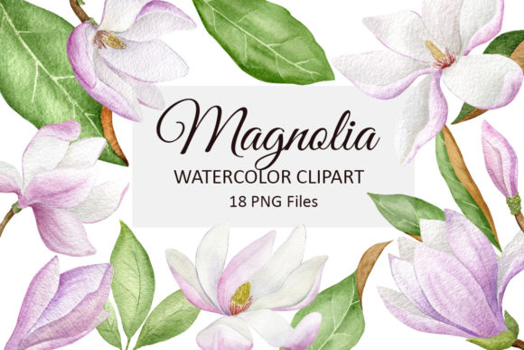 Crafting Connection: How Hand-Drawn Magnolia Watercolor Clipart Elevates Creative Projects