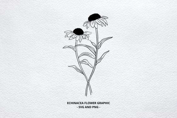 The Echinacea SVG Floral Graphic: A Detailed Evaluation for Design Projects